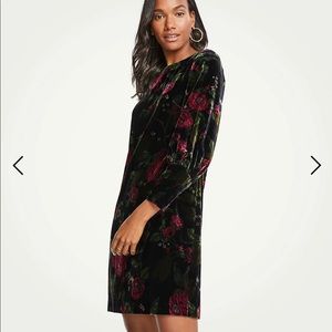Ann Taylor velvet floral dress